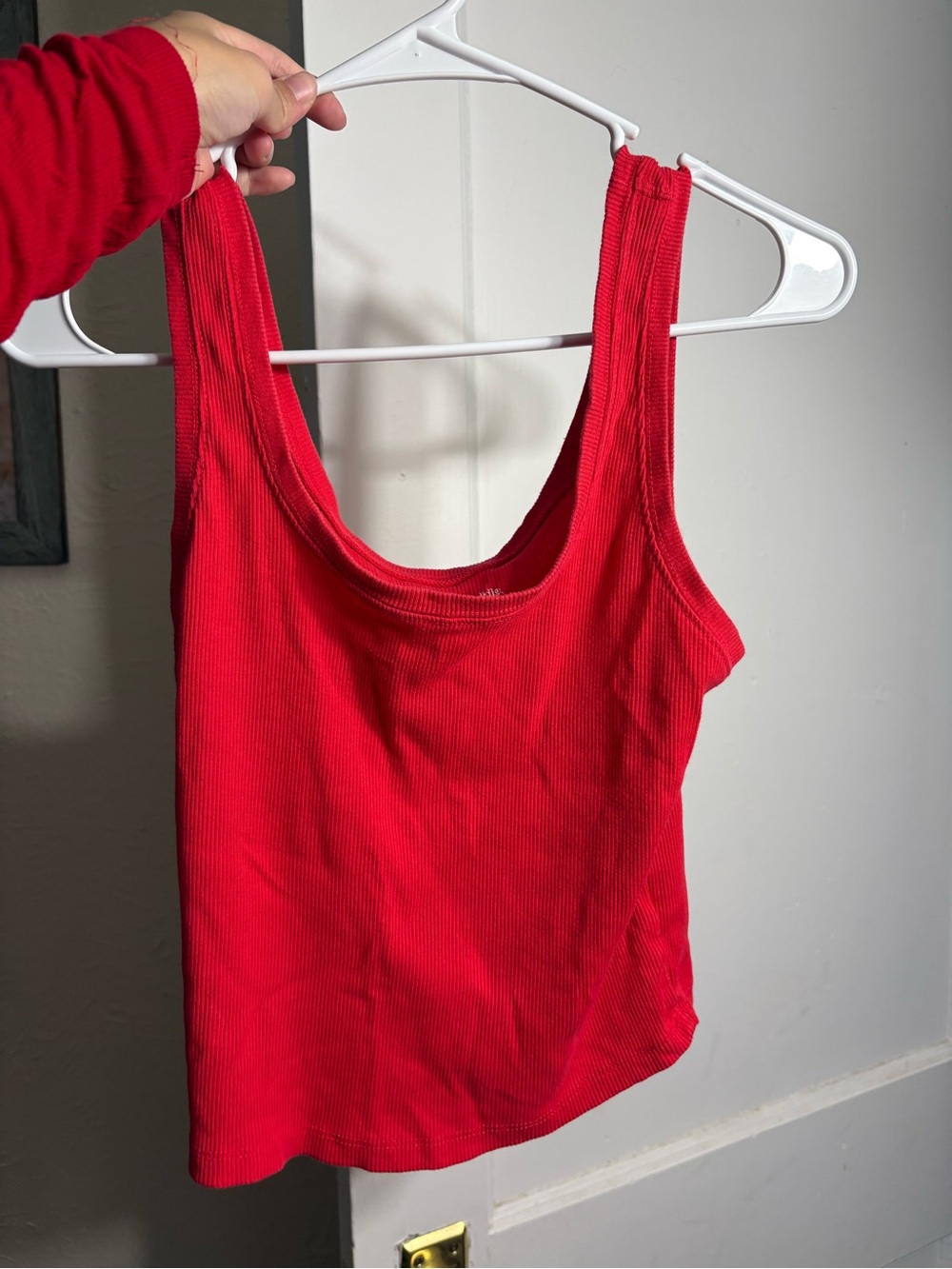 Wild fable day cropped tank